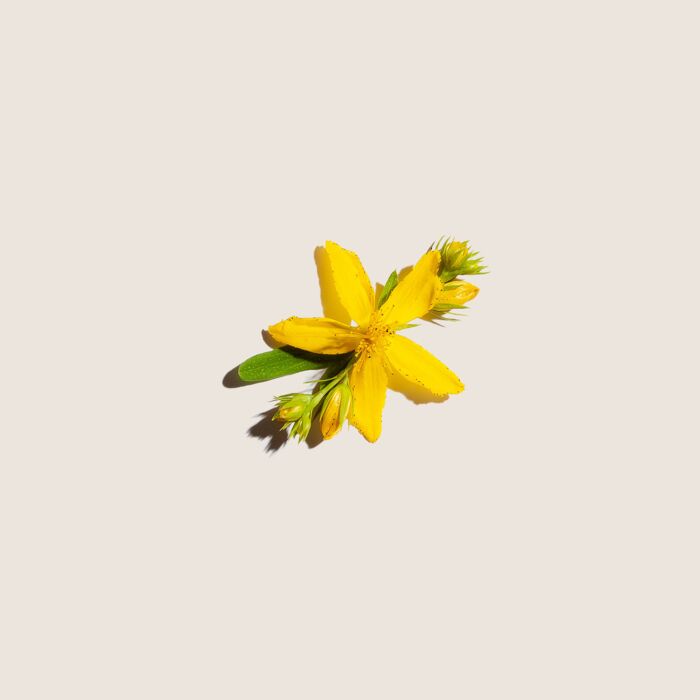 Alqvimia Aceite de Hipérico 60ml En oferta