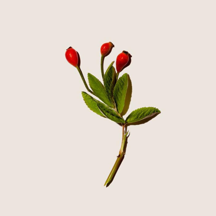 Alqvimia Aceite vegetal de Rosa Mosqueta 60 ml Gran oferta