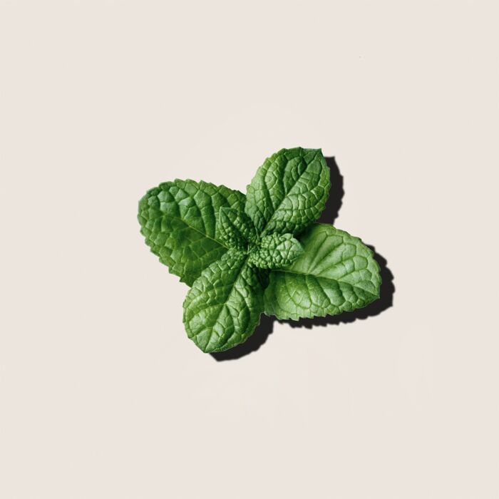 Alqvimia Aceite Esencial de Menta 10ml Grandes descuentos
