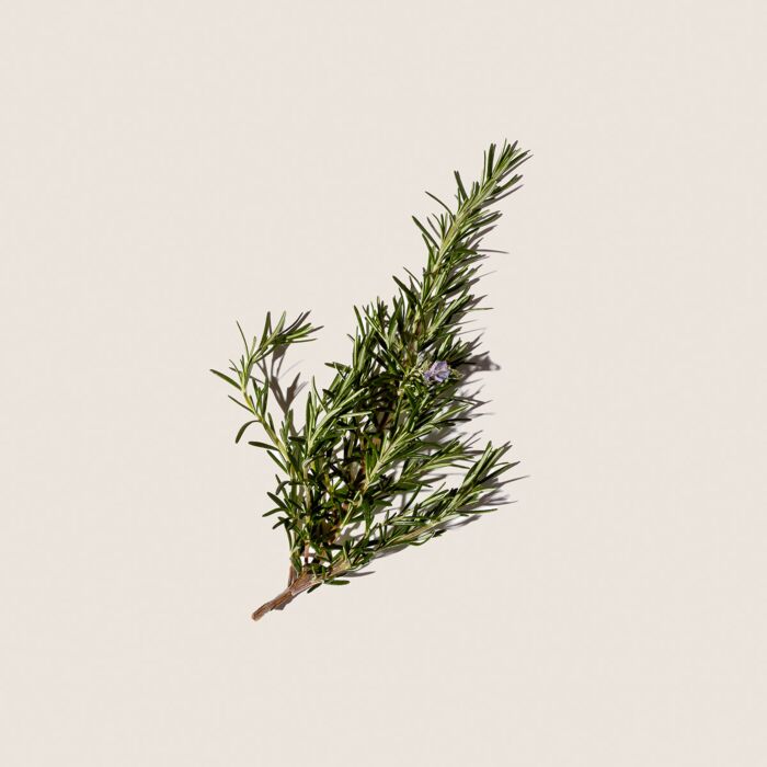 Alqvimia Aceite Esencial de Romero 10ml Descuentos del mes