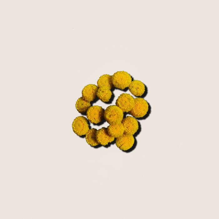 Alqvimia Aceite Esencial de Helicriso 5ml Grandes ahorros