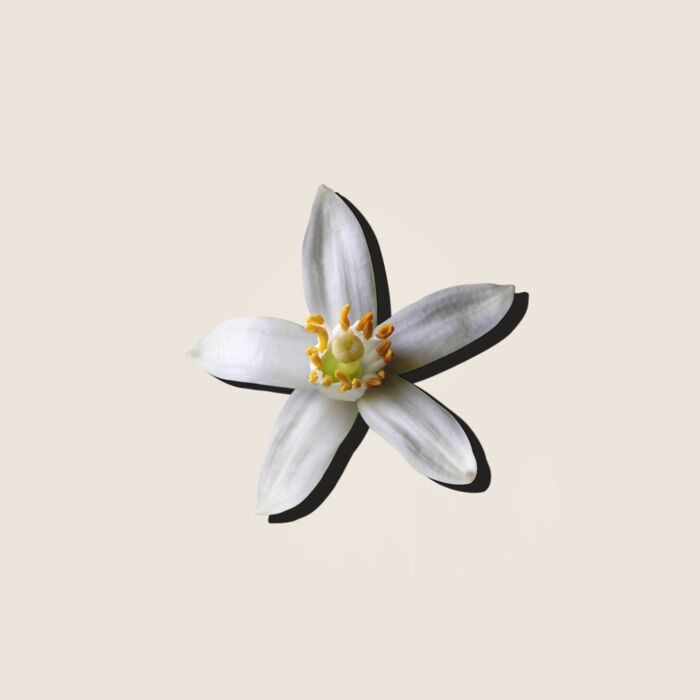 Alqvimia Aceite Esencial de Neroli 5ml Precio ultrabajo