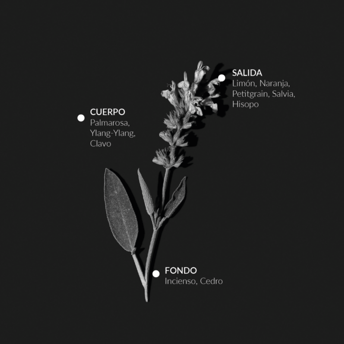 Alqvimia Agua Depurativa de Salvia 100 ml Tienda