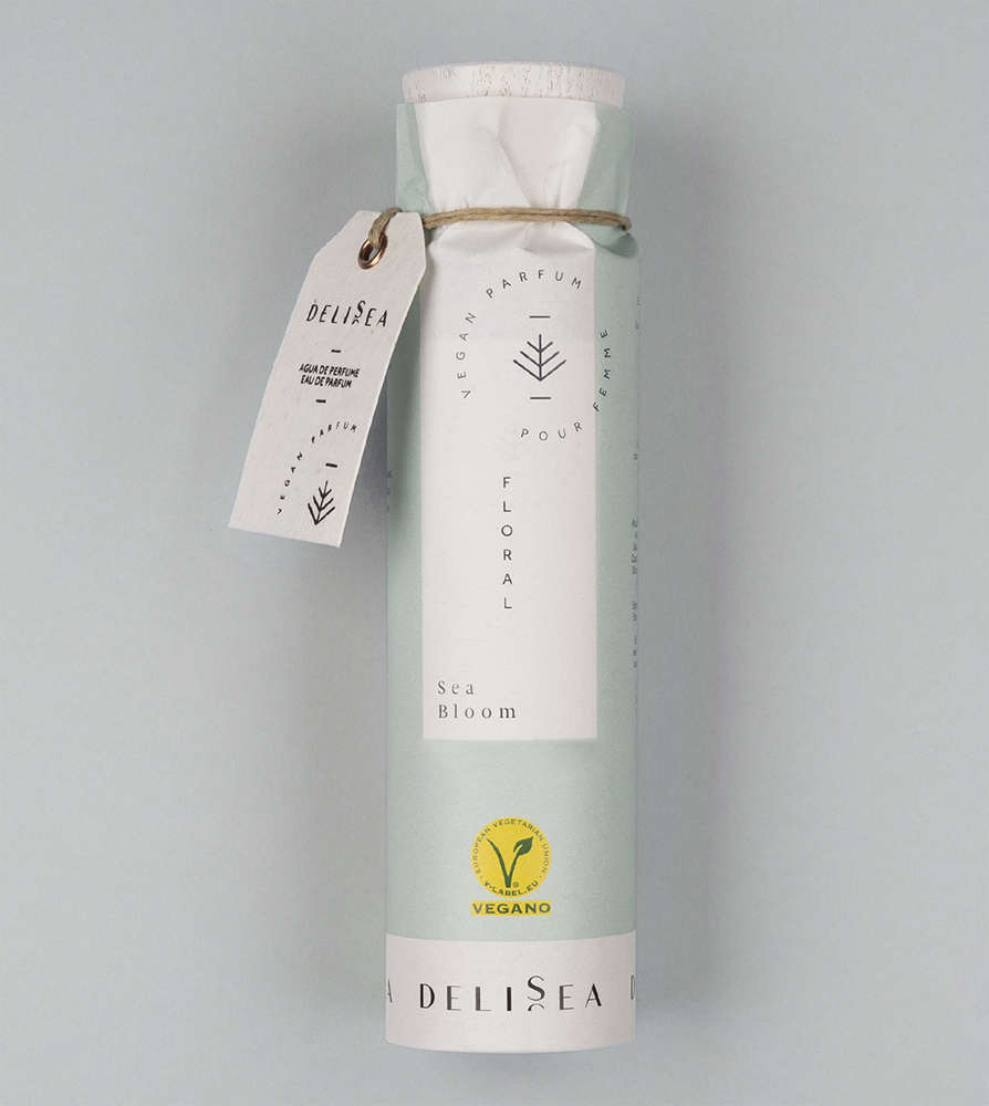 Delisea Sea Bloom