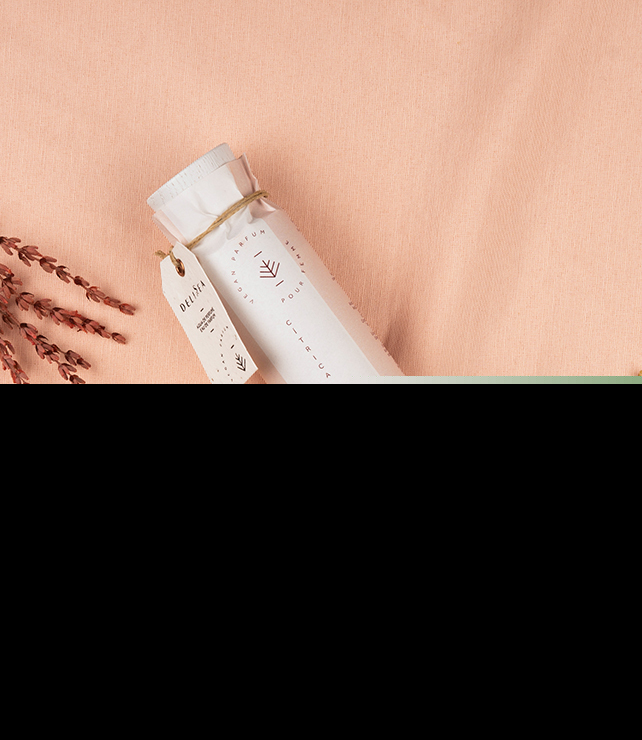 Delisea Coral Precio de fábrica