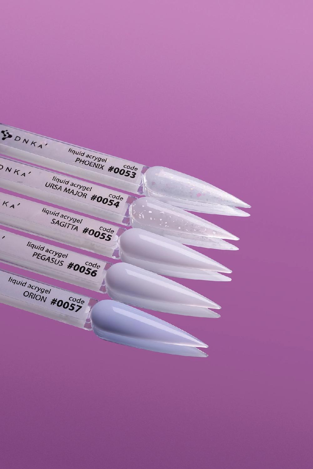 Dessata Liquid AcryGel DNKa’ 15 ml #0056 (jar) Pegasus En línea