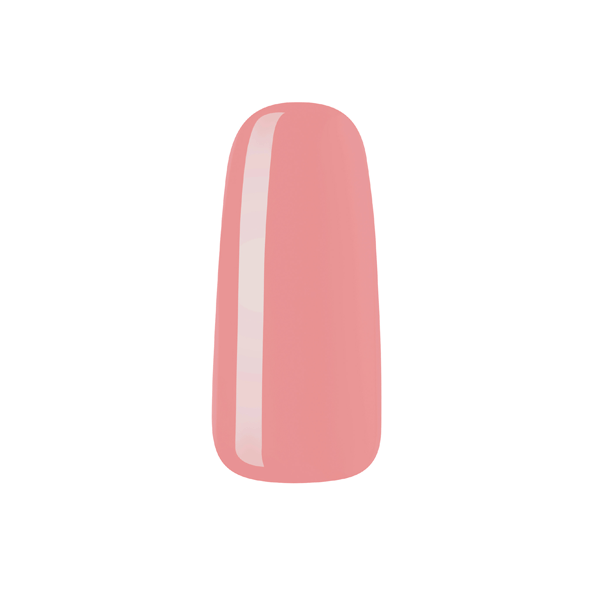 Eurostil P-LACK DUSTY ROSES 9GRMS 2025