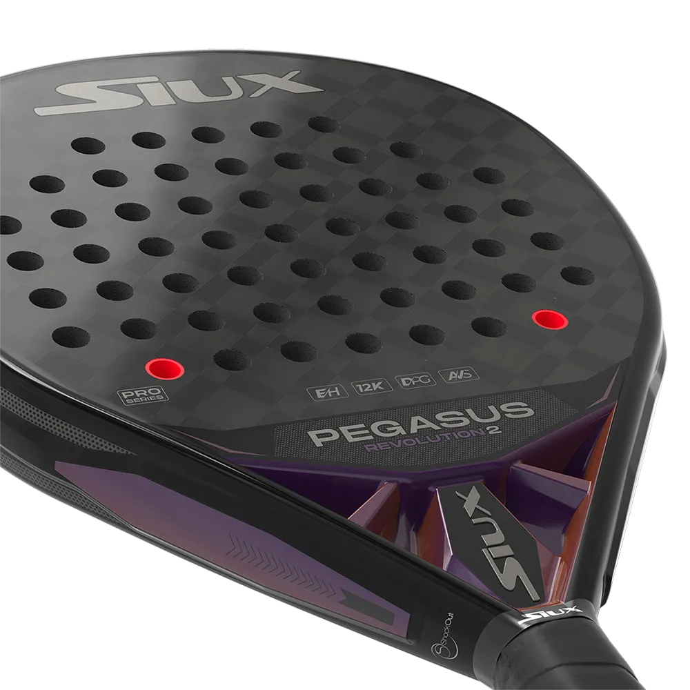 siux SIUX PEGASUS REVOLUTION 2 PRO Ahorra y exporta