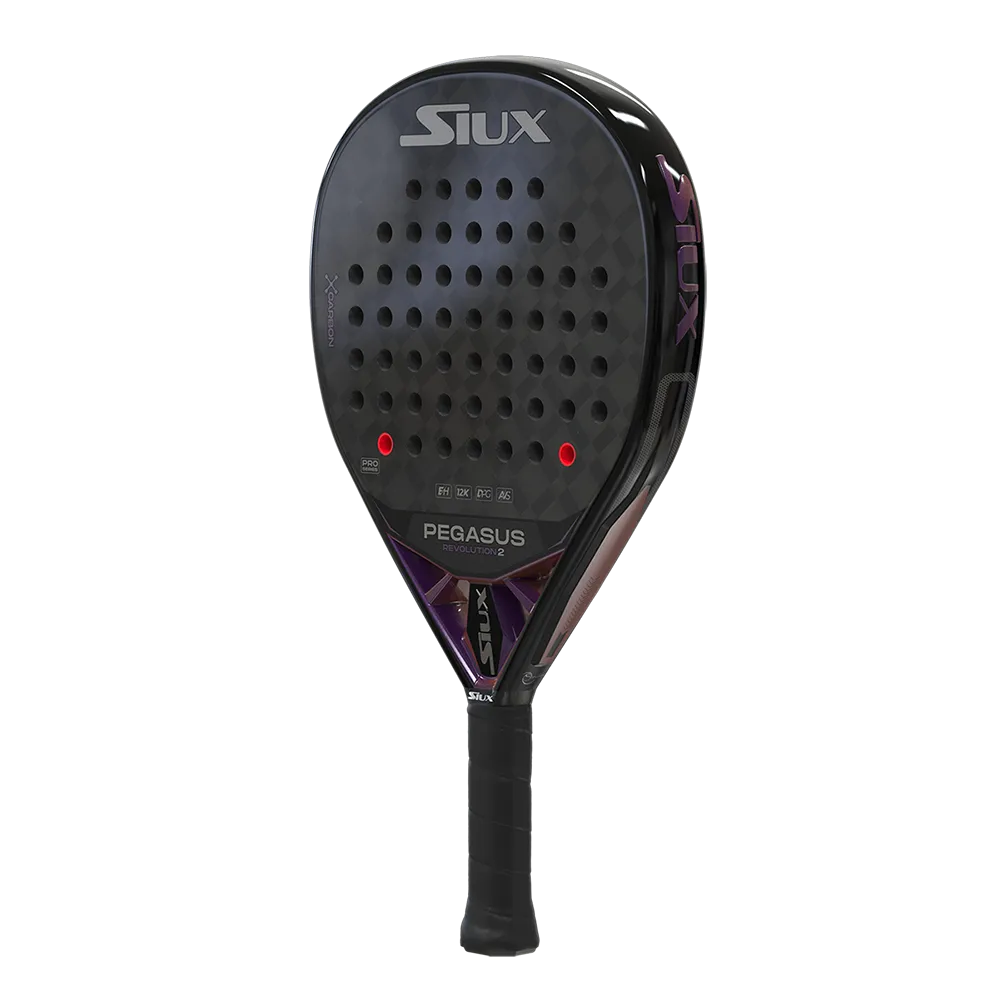 siux SIUX PEGASUS REVOLUTION 2 PRO Ahorra y exporta
