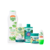 tulipán negro Pack Hidratación Intensa COMPRAR AHORA