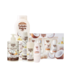 tulipán negro Pack Coco Pure White Precio de fábrica