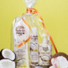 tulipán negro Pack de Regalo Coco Pure White Libre de impuestos