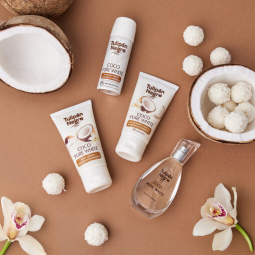 tulipán negro Estuche Tulipán Negro Coco Pure White Precio ultrabajo