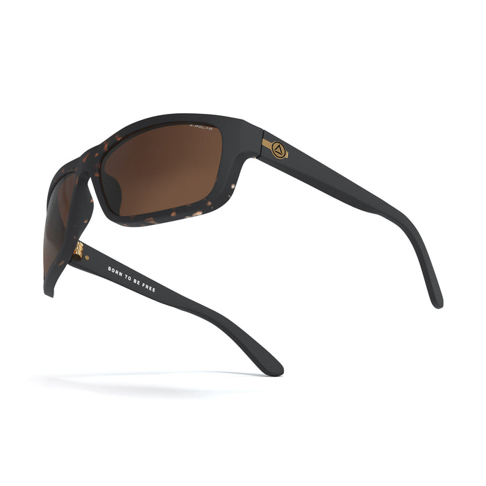 uller Alpine Black Tortoise / Brown Última moda