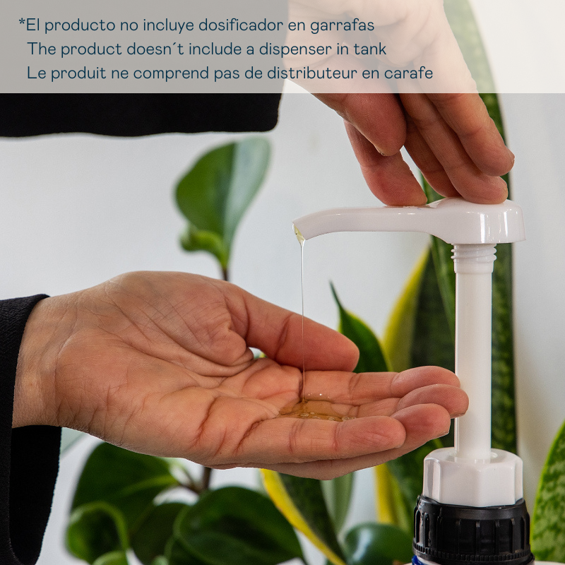 valquer laboratorios Champú fresa - 5000 ml Ahorra y exporta