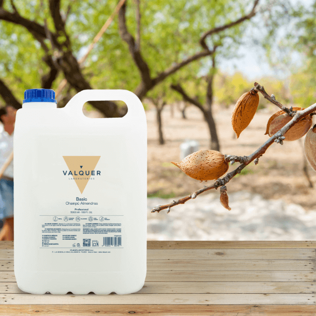 valquer laboratorios Champú almendras - 5000 ml Oferta exclusiva