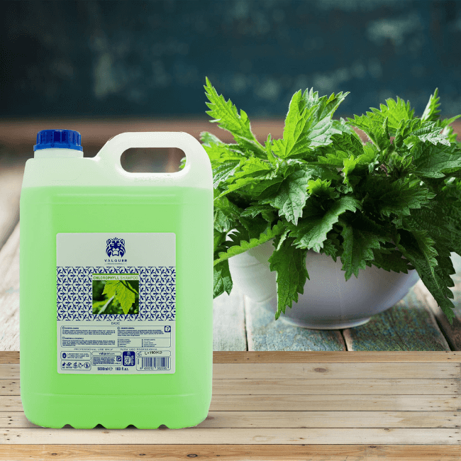 valquer laboratorios Champú clorofila - 5000 ml Ofertas de temporada