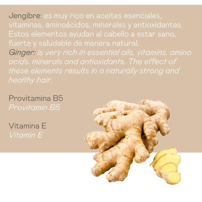 valquer laboratorios Champú jengibre Ginger Strong - 1000 ml En oferta