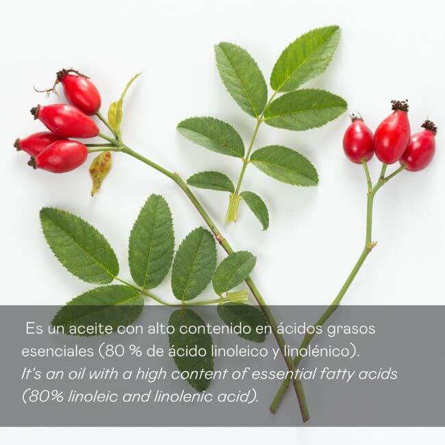 valquer laboratorios Sérum aceite rosa mosqueta 100% puro - 30 ml Envío internacional gratuito