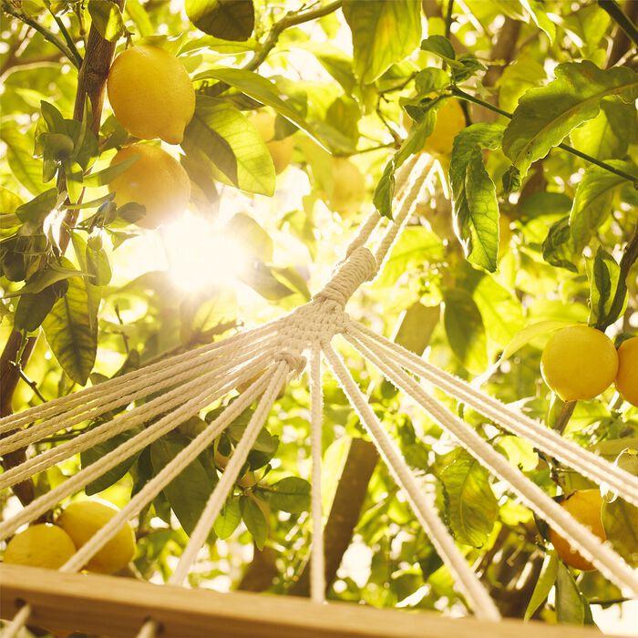 Maison Margiela Replica Under the Lemon Trees - Eau de Toilette Rebajas baratas