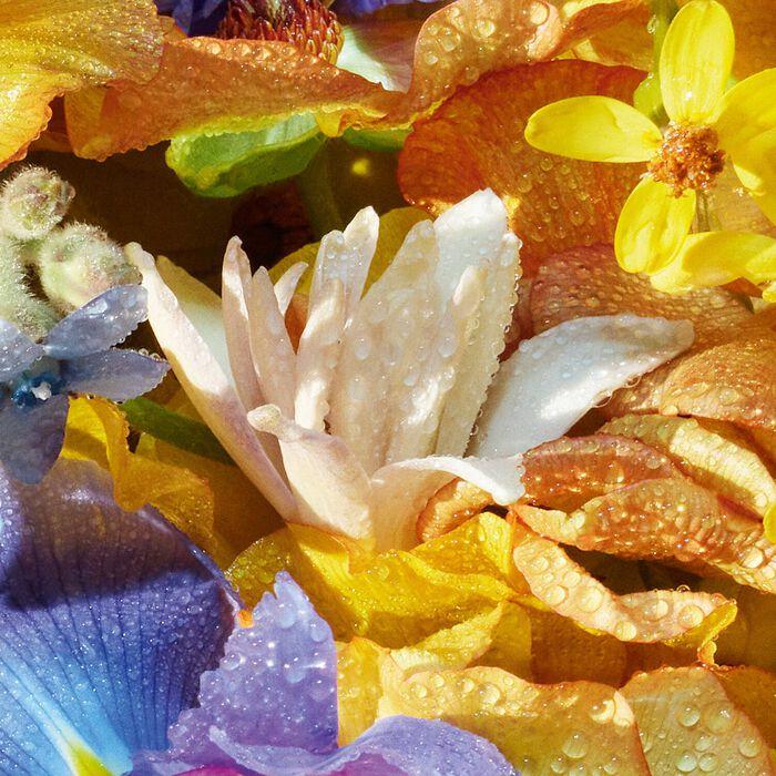 Guerlain Aqua Allegoria Florabloom - Eau de Toilette Rebajas online