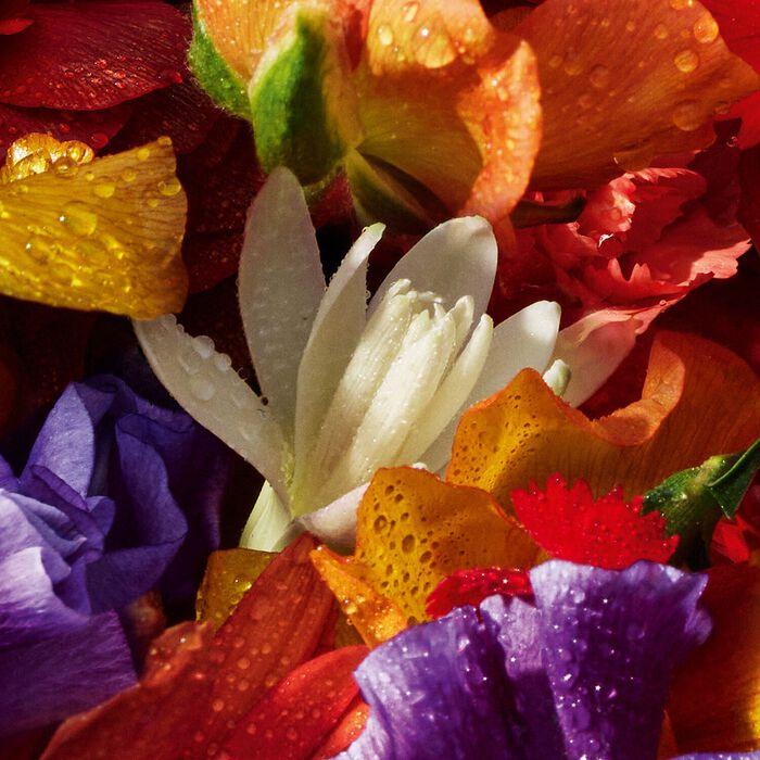Guerlain Aqua Allegoria Florabloom - Eau de Parfum Envío gratis