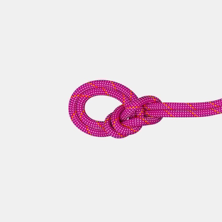 mammut 9.5 Crag Dry Rope 50m
