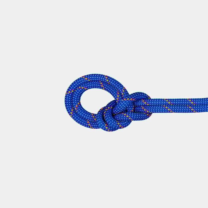 mammut 9.5 Crag Dry Rope 40m