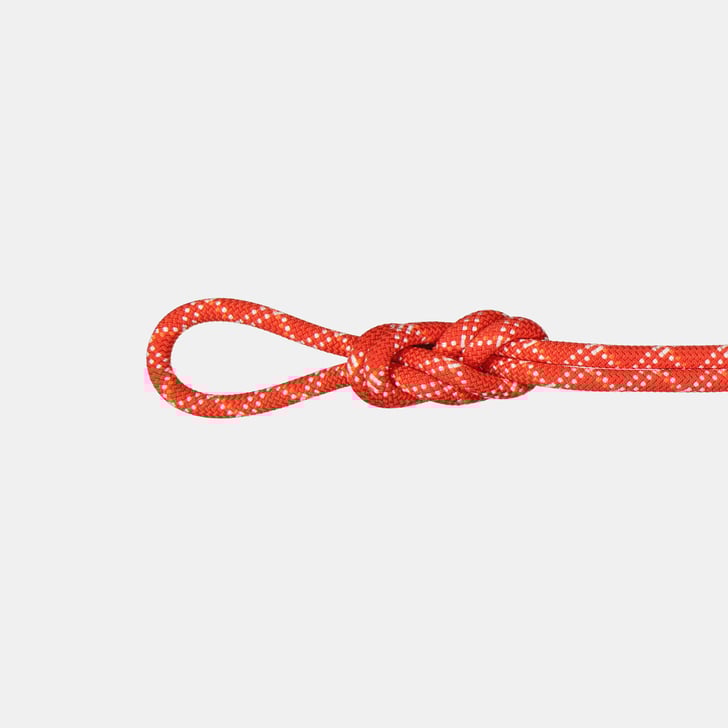 mammut 9.5 Gym Classic Rope 40m