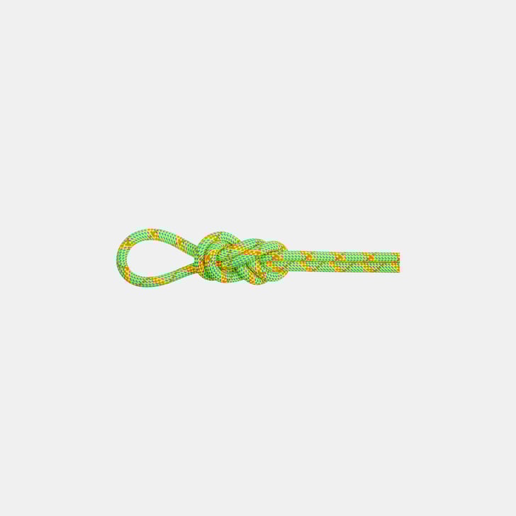 mammut 8.0 Alpine Core Protect Dry Rope 50m