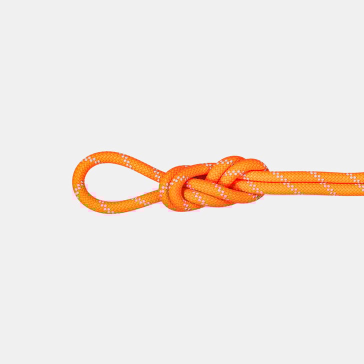 mammut 9.5 Alpine Dry Rope 40m