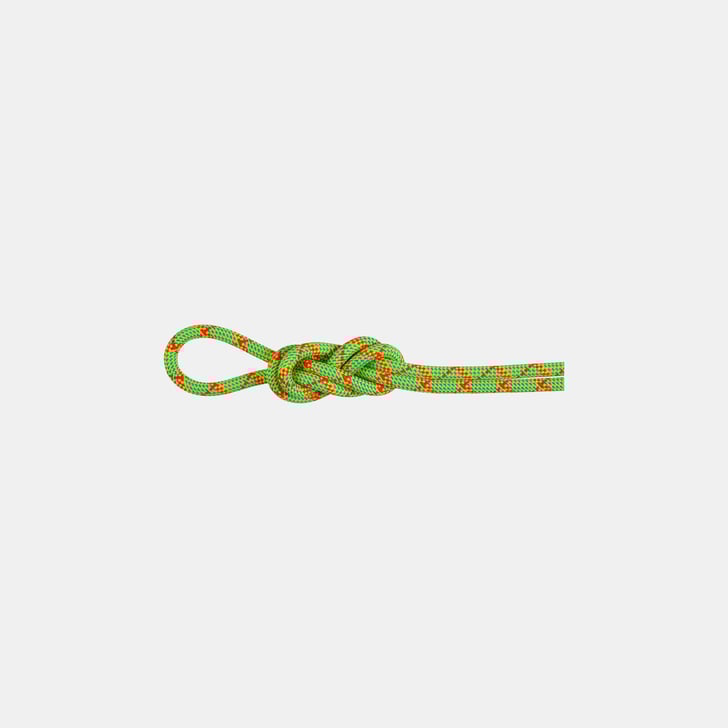 mammut 8.0 Alpine Core Protect Dry Rope 30m