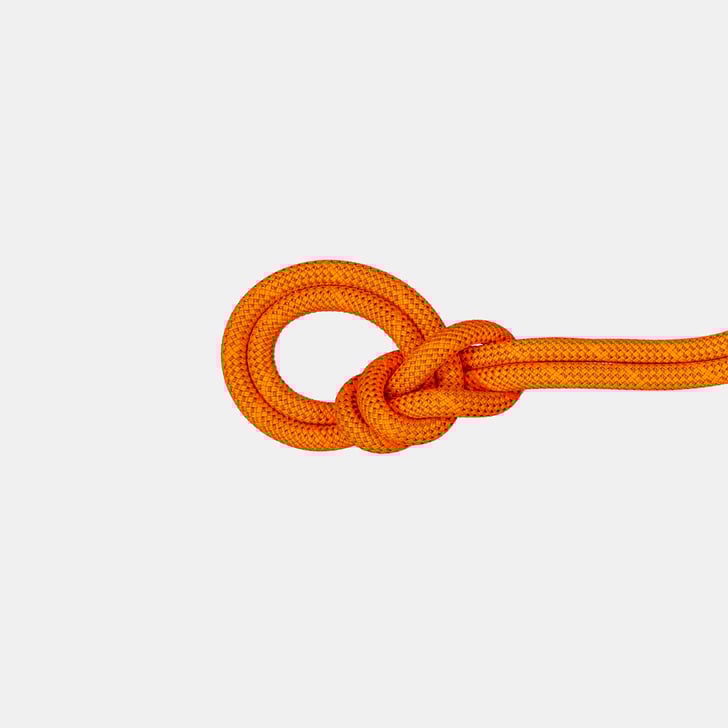 mammut 9.8 Crag Dry Rope 80m